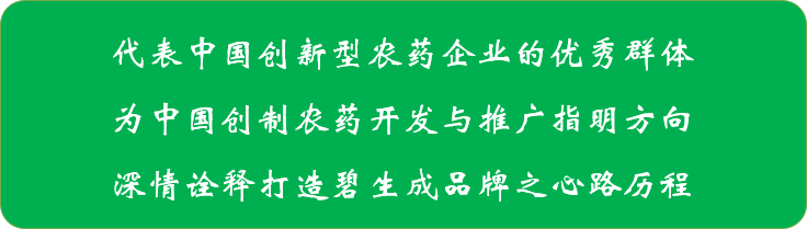 图片12.png