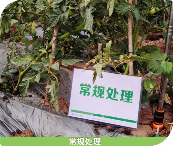 159047156448746243Ux.jpg 662_副本.jpg