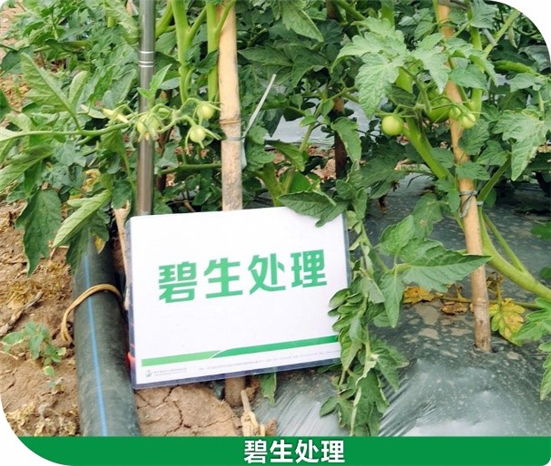 15904715769480698Cra.jpg 6613_副本.jpg