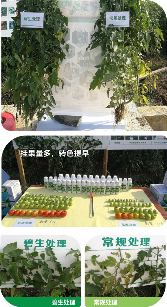 1590471611903855zgjx.jpg 43443_副本.jpg