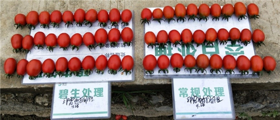 1590471659732667rN53.jpg 4343435_副本.jpg