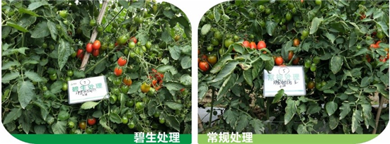 1590471686884970TYcc.jpg 545454545_副本.jpg