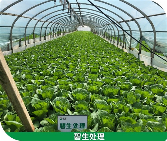 15904727338763916jUZ.jpg 434344_副本.jpg
