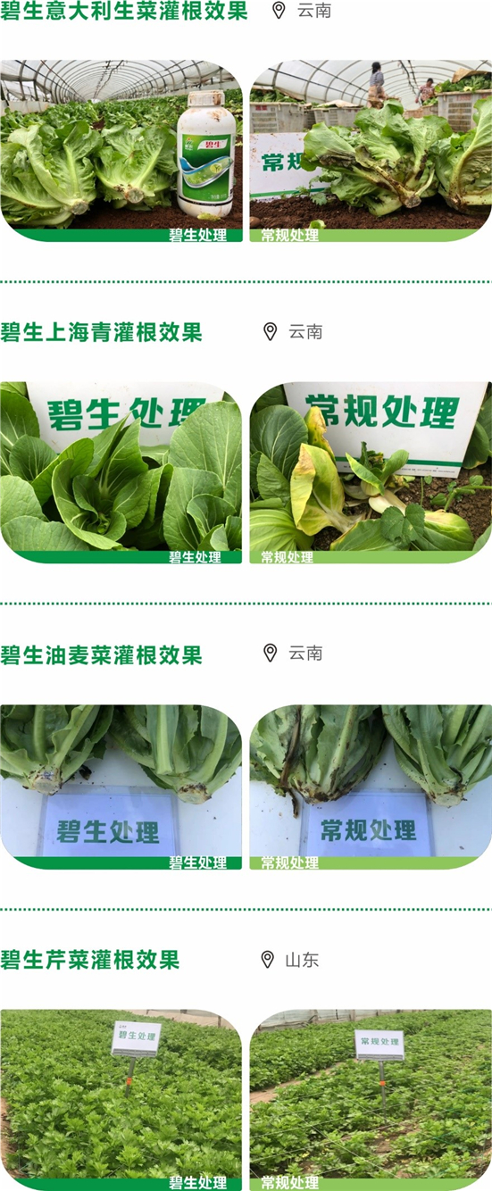 1590472821727399np7O.jpg 3232323_副本.jpg