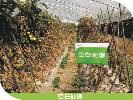 1590479316154546F8zb.jpg 909_副本.jpg