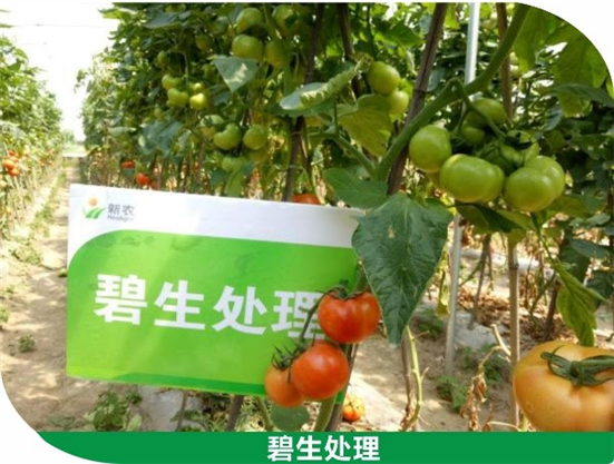 1590479325871332iVOo.jpg 0933_副本.jpg