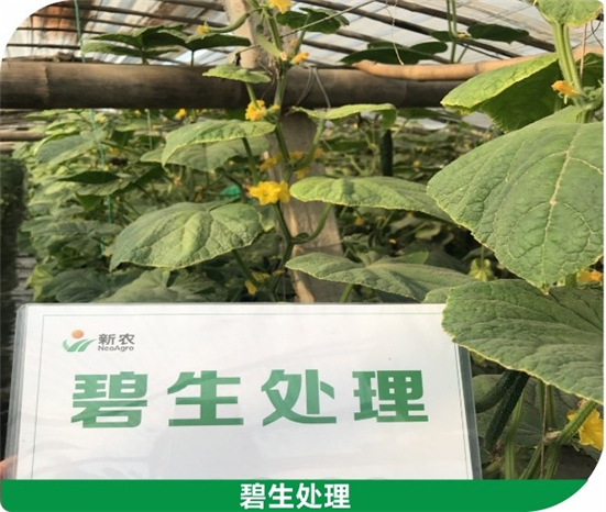1590479413723749jtYs.jpg 4421_副本.jpg