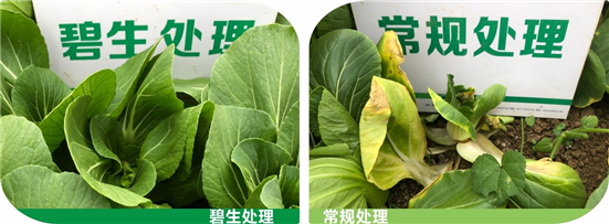 1590479460724431cxo0.jpg 011_副本.jpg