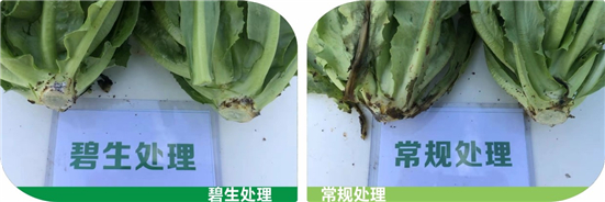 1590479507525176PJ6E.jpg 01111_副本.jpg