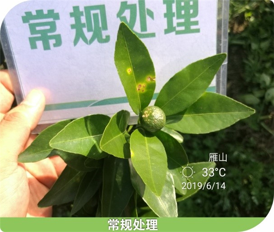 1590481068859319sl1u.jpg 411_副本.jpg