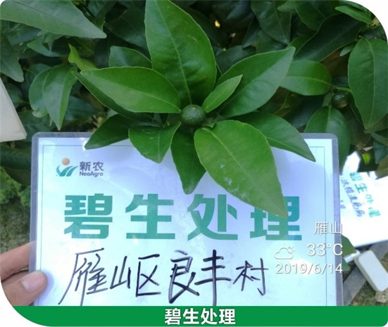 159048108861851814Yx.jpg 35_副本.jpg
