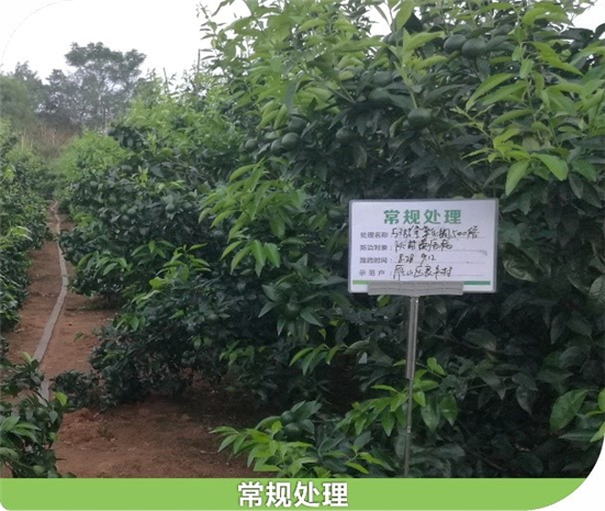 1590481157127357tBhb.jpg 415_副本.jpg