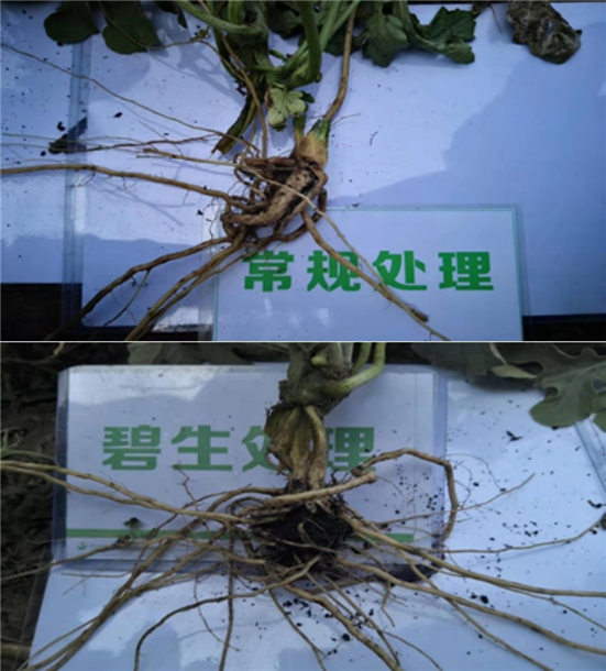 1590485508920582nHZN.jpg 151_副本.jpg