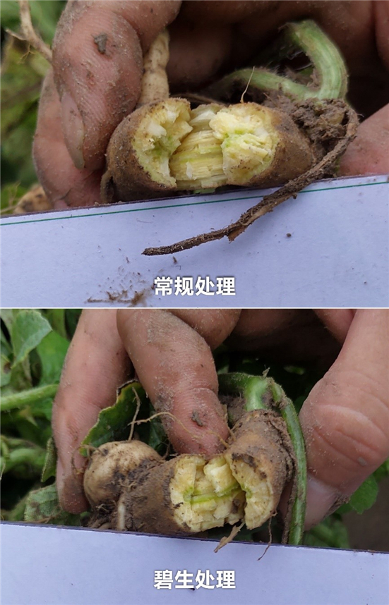 1590485528679309Nyd6.jpg 4113_副本.jpg