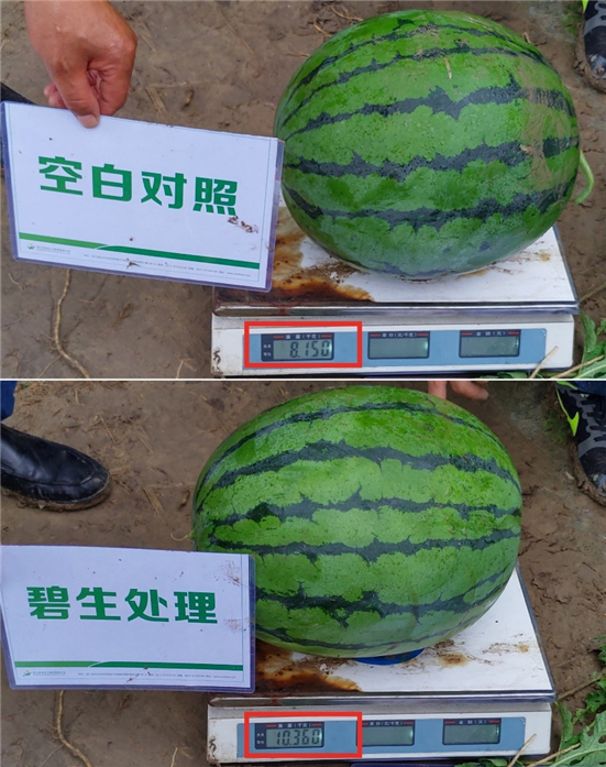 1590485576508811Fl6Q.jpg 134_副本.jpg