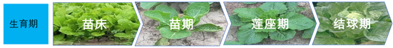 1590545120190390dqMz.png 微信图片_20200527095257_副本.png