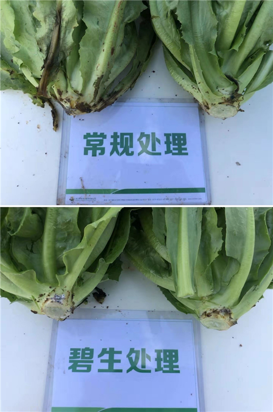 1590545376435256K3y9.jpg 134556_副本.jpg