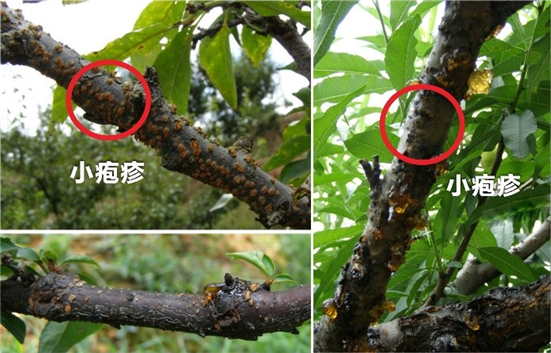 15905467325699098jYx.jpg 4134_副本.jpg