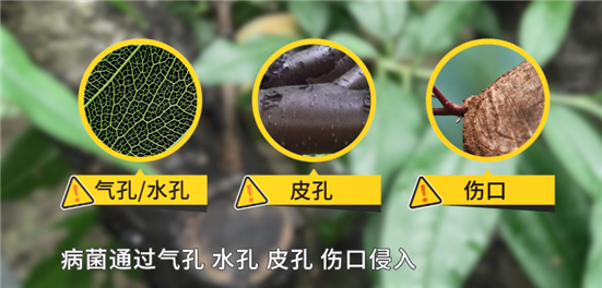 1590546861853920yTFd.png 14415_副本.png