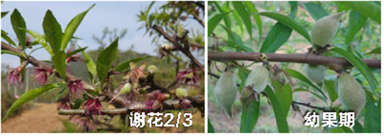 1590547073425942STbs.png 微信图片_20200527102314_副本.png