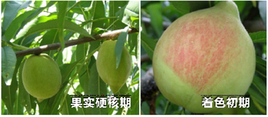 1590547184276391D5gP.png 微信图片_20200527102326_副本.png