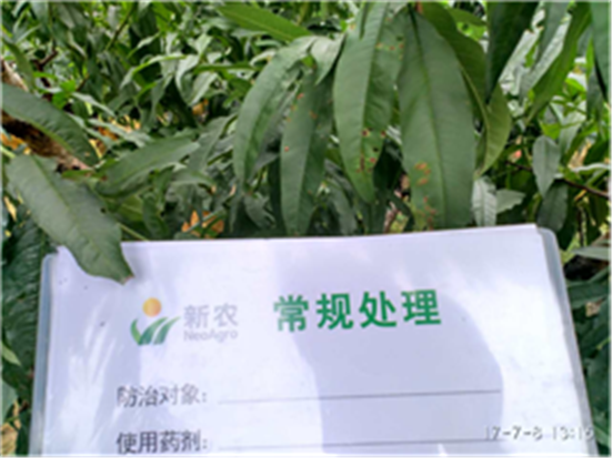 1590547292890134lliu.png 微信图片_20200527102356_副本.png