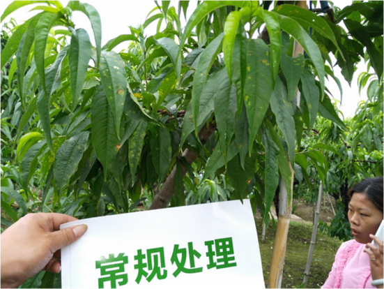15905474023334363u9Z.png 5555532_副本.png