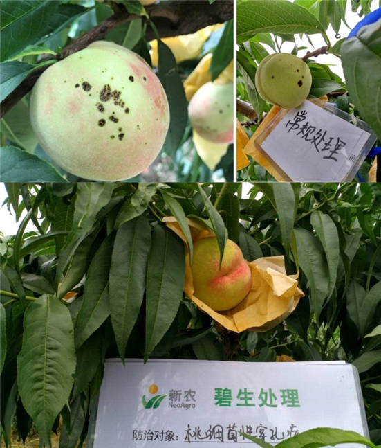 15905474828708721DoS.jpg 525253_副本.jpg