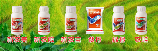 1589782970267918RxlO.png 22_副本.png