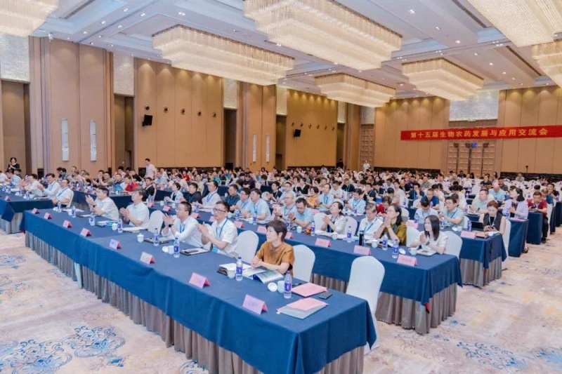 1750835514634373rbqu.jpg 1.jpg