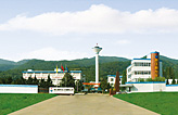 关于新农
