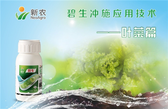 让叶菜绿叶增产的奥秘