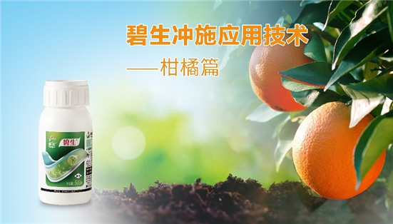 柑橘溃疡病防治方案 事半功倍